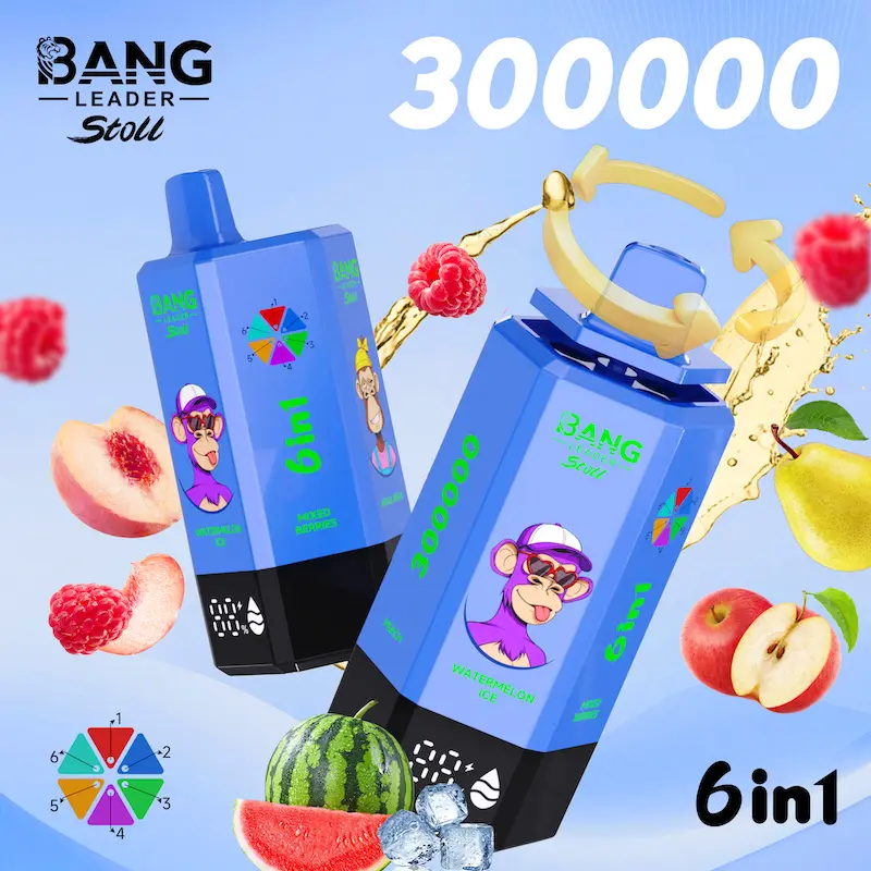 Bang Leader 300K disposable vape 300000 puffs 6-in-1 wholesale