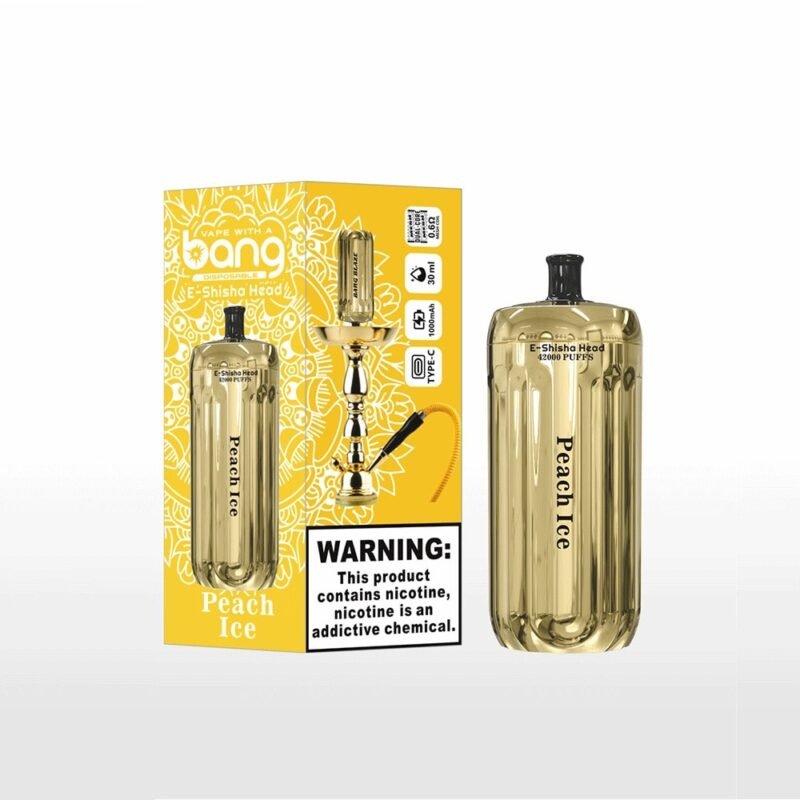 Bang E-Shisha Head 42000 Puffs – Retail (from 3 pcs)