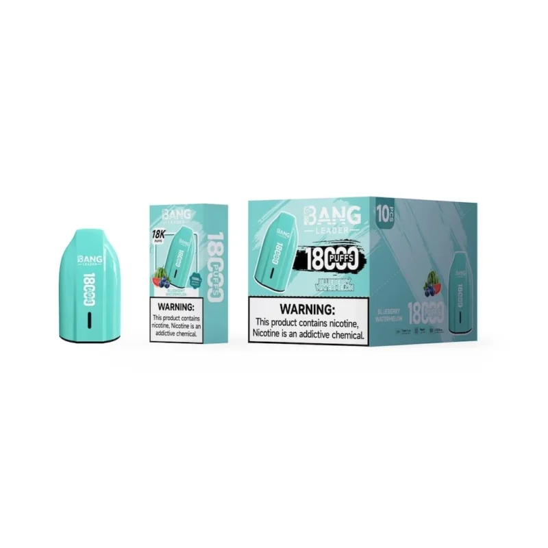 Bang Leader 18K Wholesale: Affordable 18000 Puff Mesh Vape